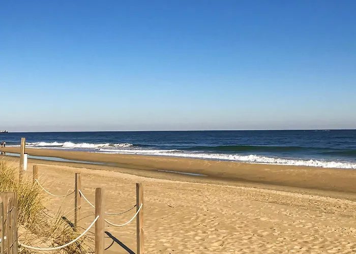 Pyramid 15g * Ocean City